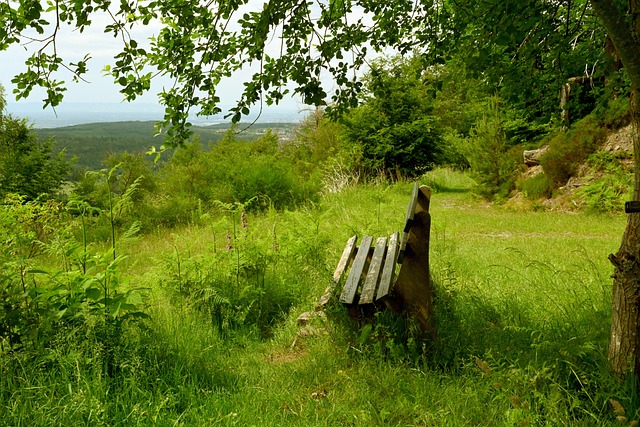 这场比赛最 这场比赛最