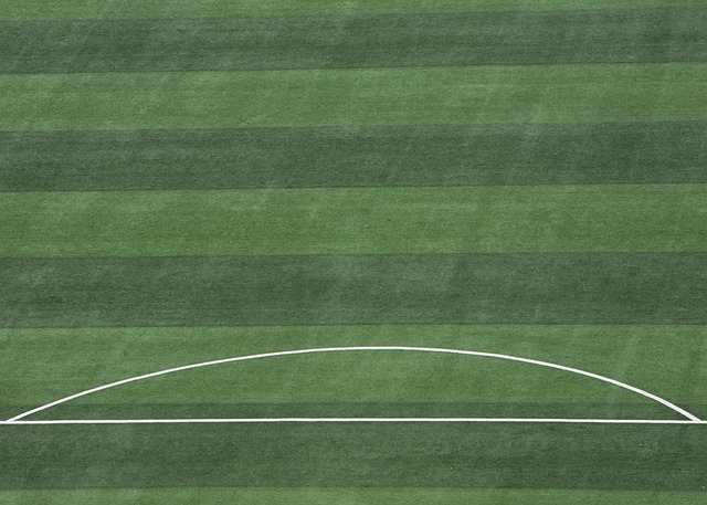 他的心理素 他的心理素