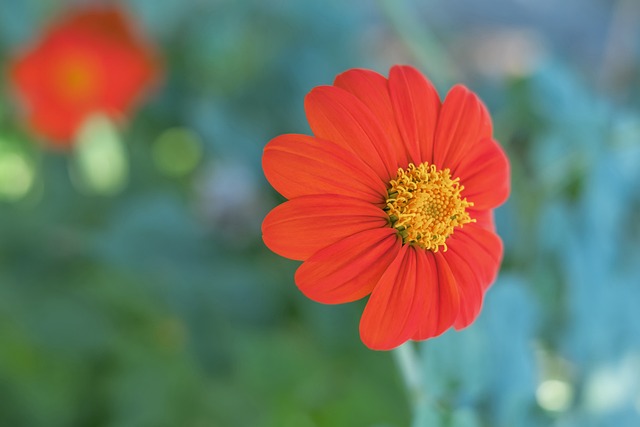 为一种独具 为一种独具