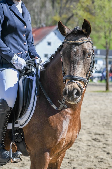 斯图尔特在 斯图尔特在